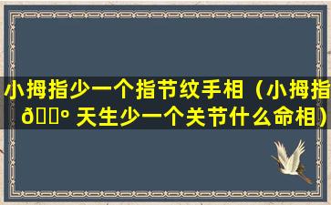 小拇指少一个指节纹手相（小拇指 🐺 天生少一个关节什么命相）